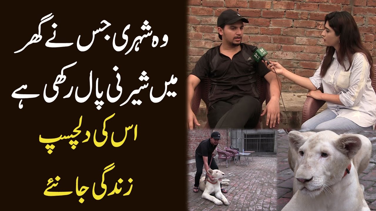Woh shehri jisnay ghar mein sherni paal rakhi hai, iski dilchasp zindagi janiye