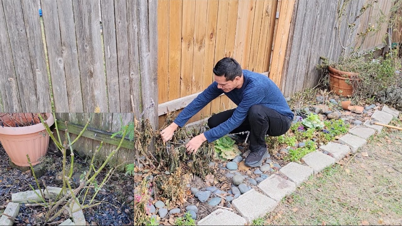 Sacando y podando plantas para que crezcan lindas despu&eacute;s de intensa helada | &iexcl;FELIZ A&Ntilde;O NUEVO!
