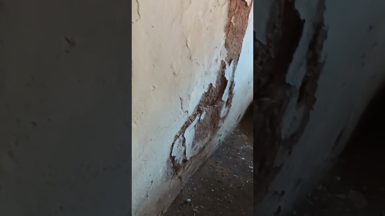SİVAS'IN ELBEYLİ'NİN MENŞURLU KÖYÜNÜ GEZİYORUM. KÖY VLOG #2 TOPRAKTAN EVİ İNCELİYORUM.