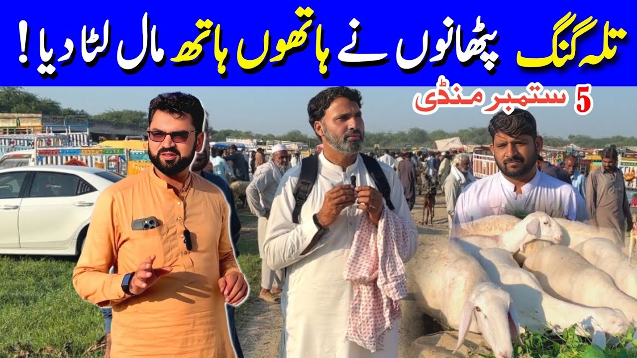 تلہ گنگ منڈی پٹھانوں نے ہاتھوں ہاتھ مال لٹا دیا خریدنے والوں کی موجیں لگ گئیں