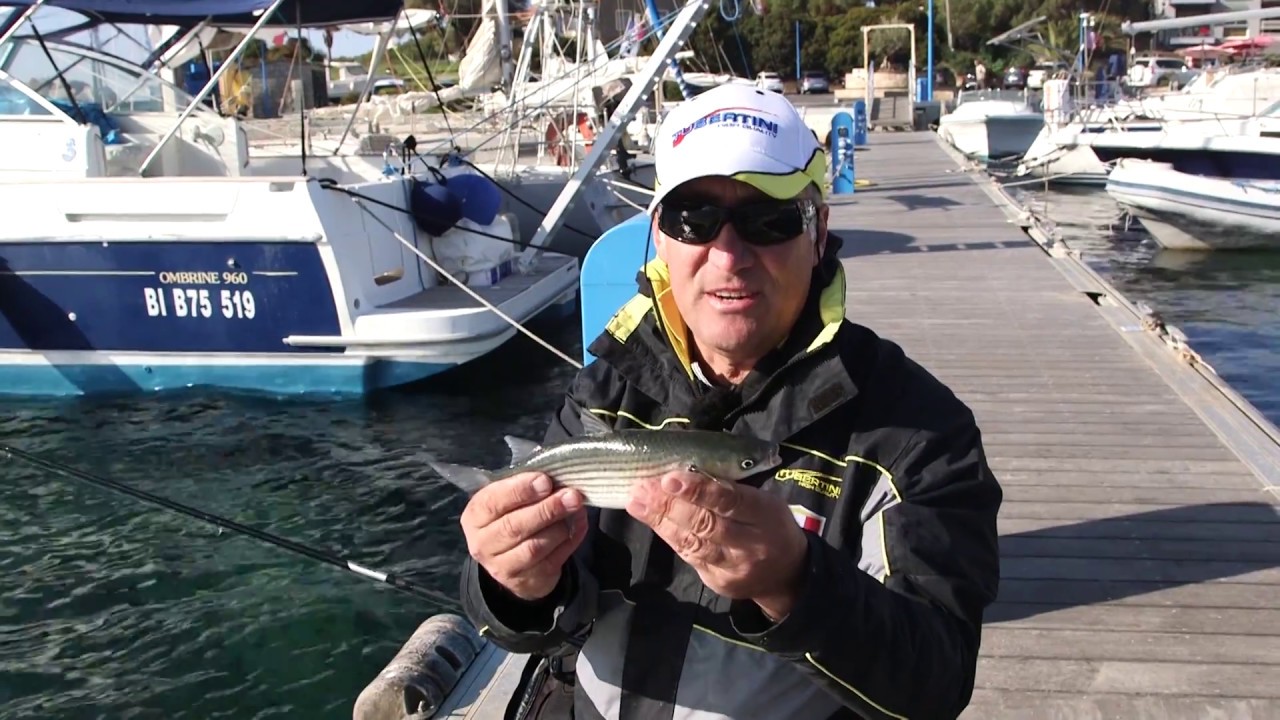 Corsica floating feeder (Tubertini)