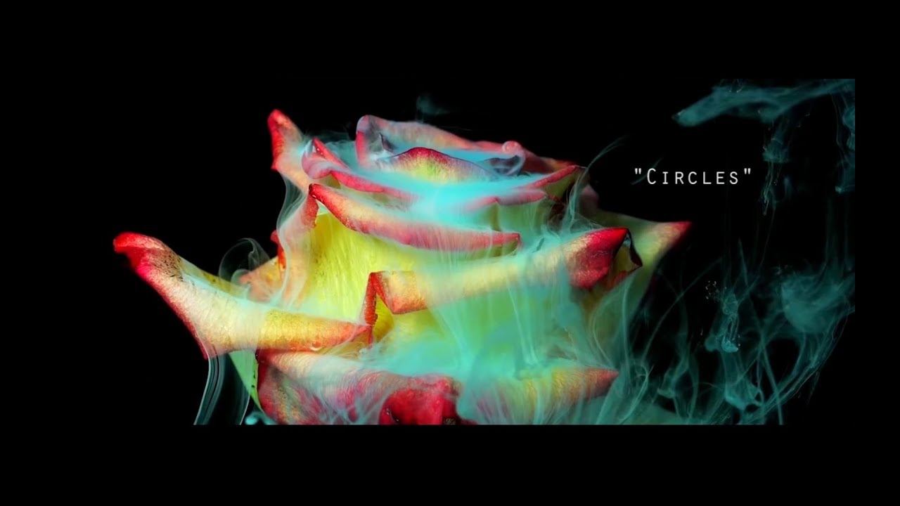 Cid Poitier (feat Wends) -  CIRCLES (Official Music Video)