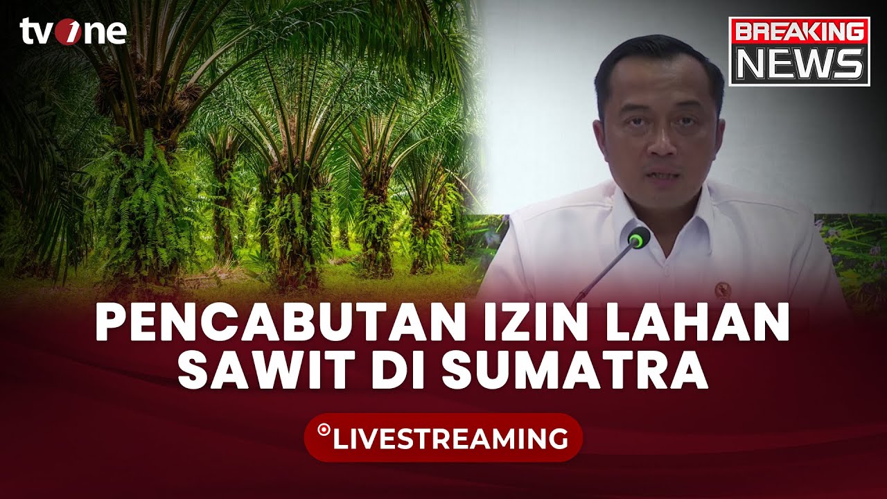 [BREAKING NEWS] Pencabutan Izin Lahan Sawit di Sumatra | tvOne