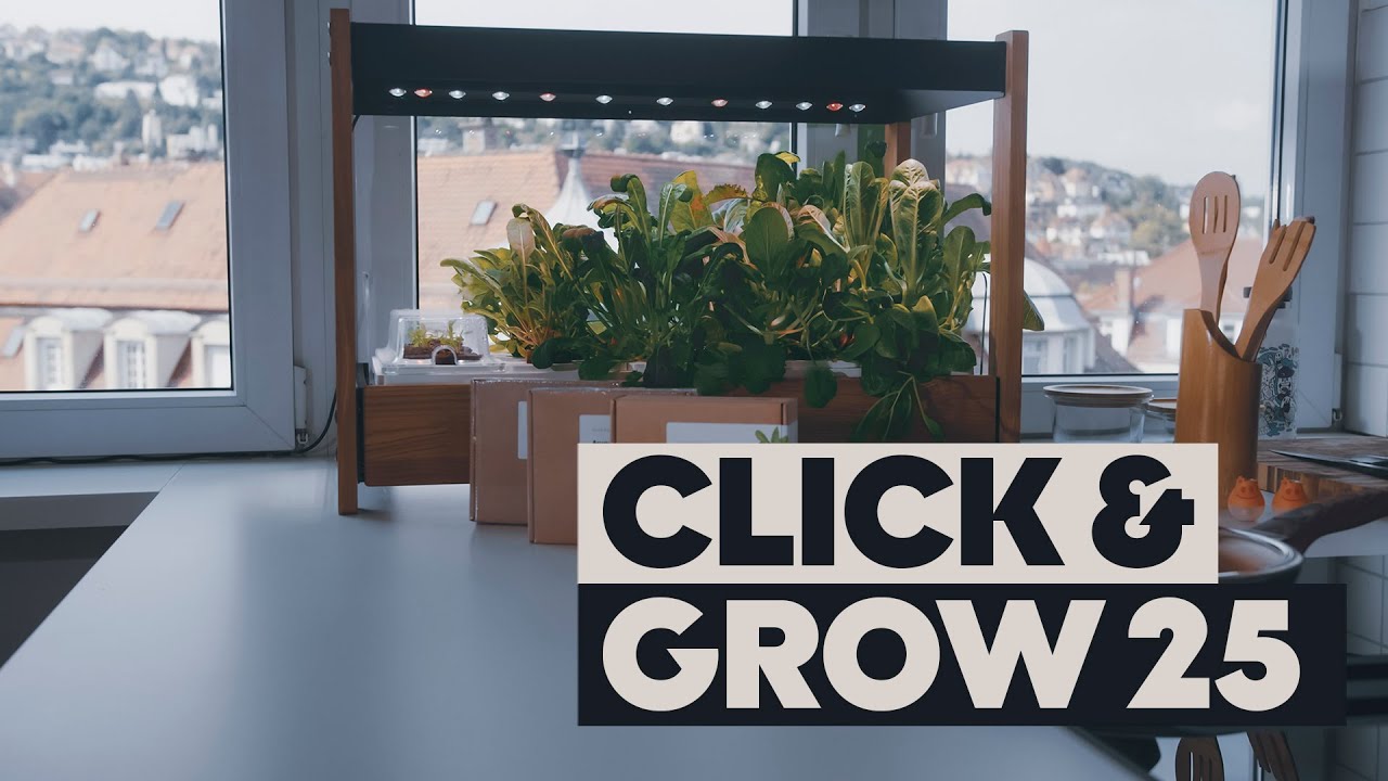Обзор умного сада Click And Grow 25: стоит ли он своих денег?