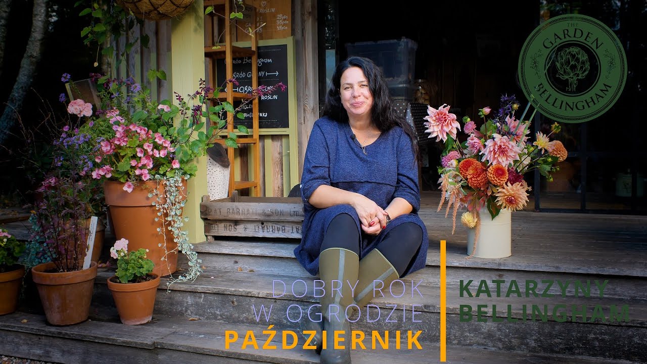 🌷 Najlepszy czas na sadzenie LASAGNE CEBULKOWYCH! | Jesienny ogród od połowy października.