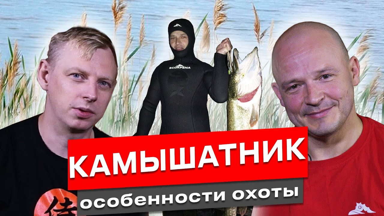 Подводная охота в камыше: как не заблудиться, не спугнуть рыбу и взять трофей