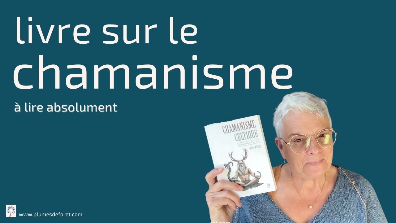 livre sur le chamanisme celtique à lire absolument :