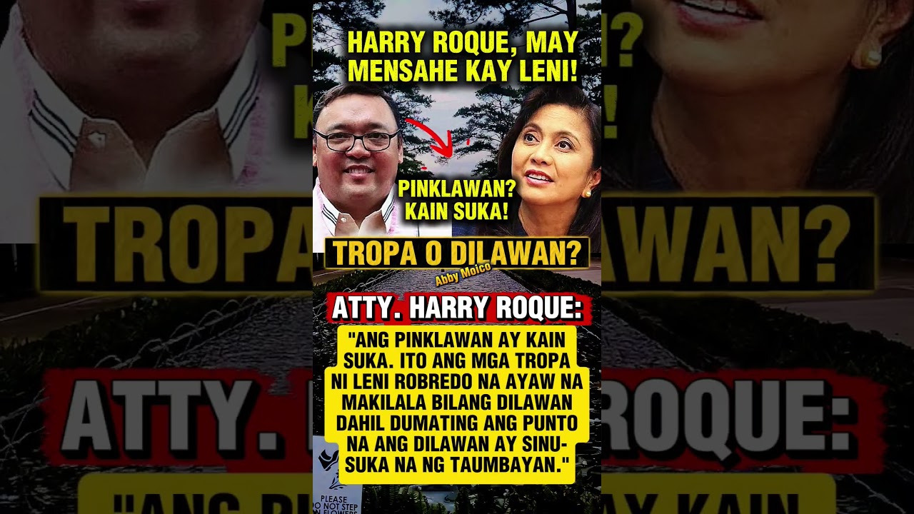HARRY ROQUE, MAY MENSAHE KAY LENI ROBREDO #shorts