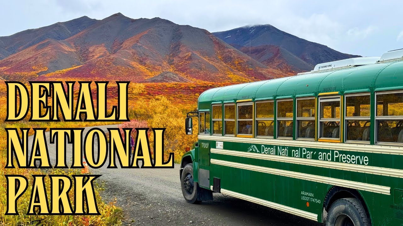 Visiting Denali National Park (Peak Autumn Colors!🍁)