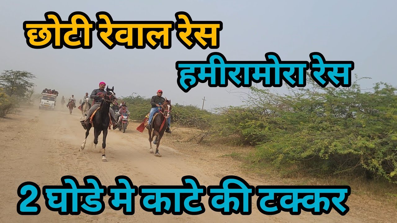 छोटी रेवाल रेस  हमीरामोरा कच्छ  || CHOTI REWAL RACE HAMIRAMORA  