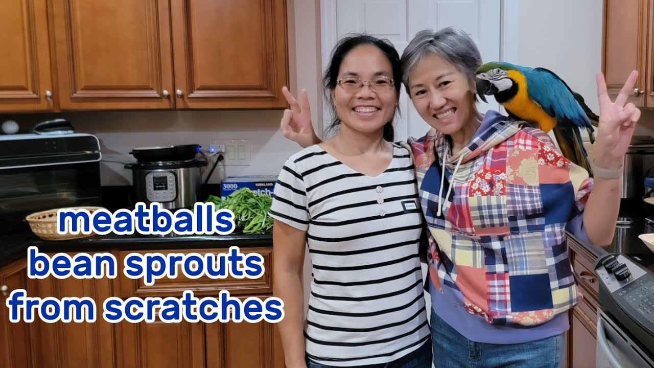 EP17 Delicious bowl soup: home-made meat balls, home grown bean sprouts and pea shoots from garden!