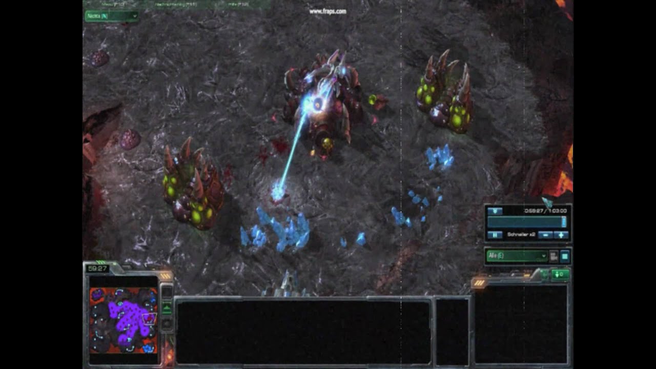 zerg love vespingas