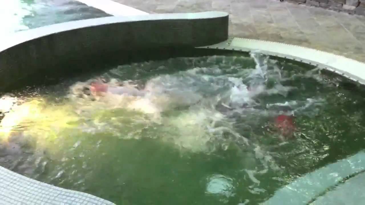 MerMan Jedward
