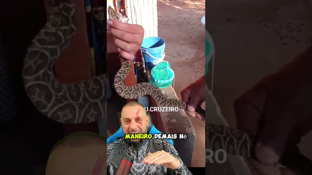 Urutu cruzeiro