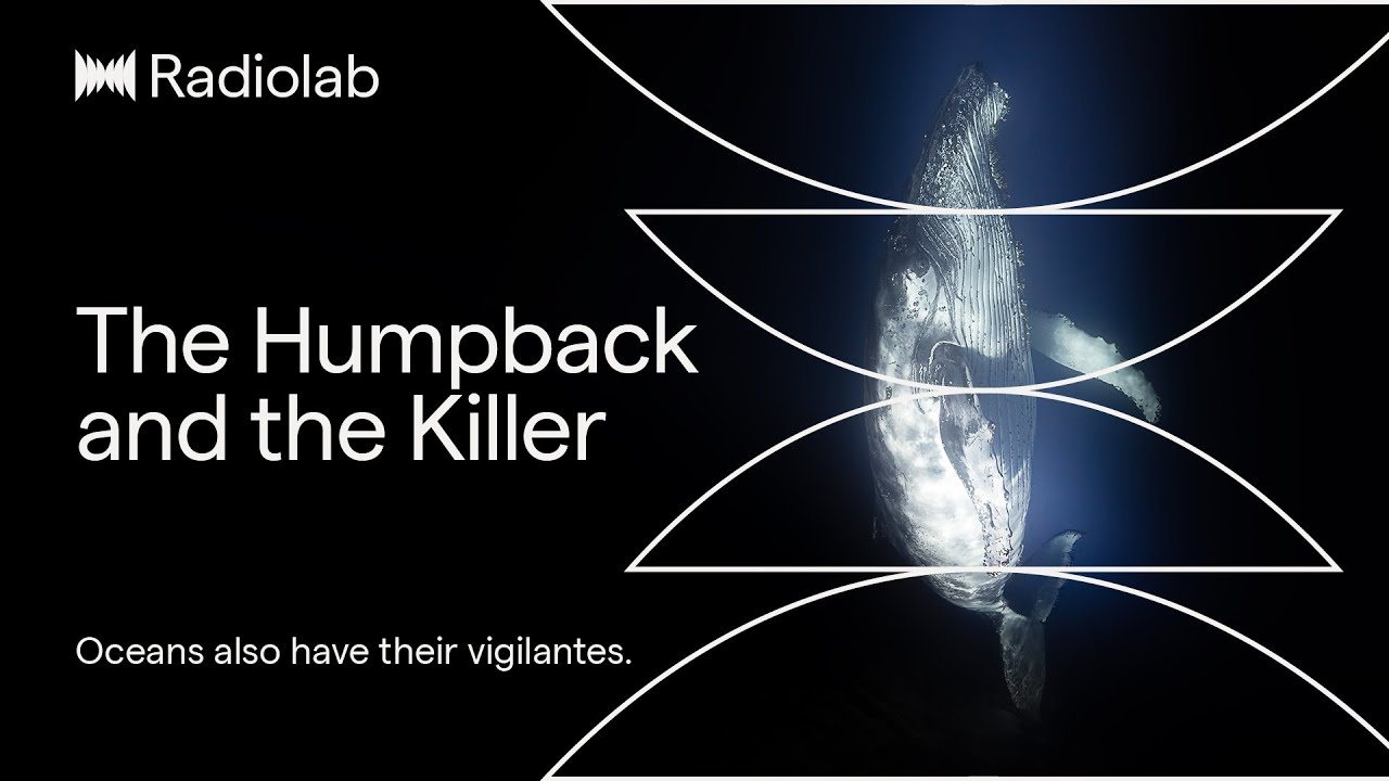 The Humpback and the Killer  | Radiolab Podcast