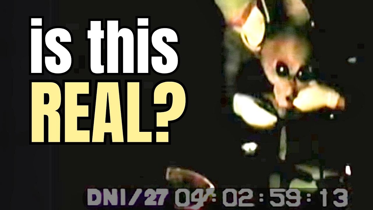 Revisiting the Alien Interview Video | Richard Dolan Show