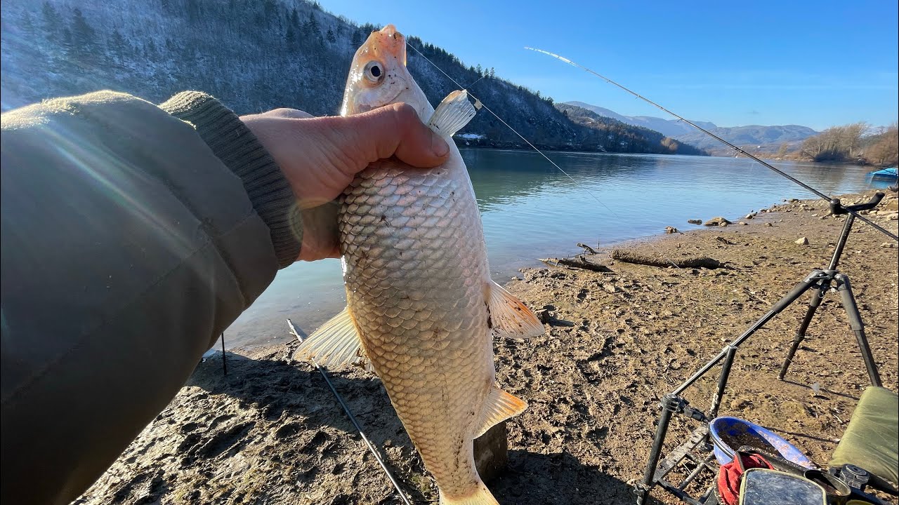 Feeder pecanje u Višegradu na -18 °C