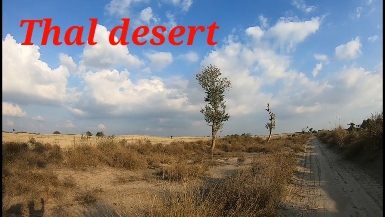 Life in Thal desert 🏜️ - episode 3 ~The changing face of dessert
