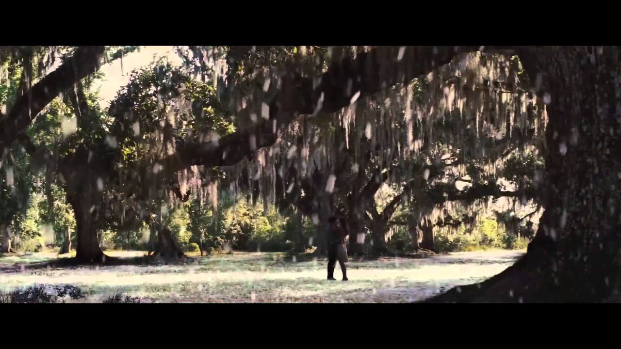 Beautiful Creatures (2013) Pedigree Clip [HD]