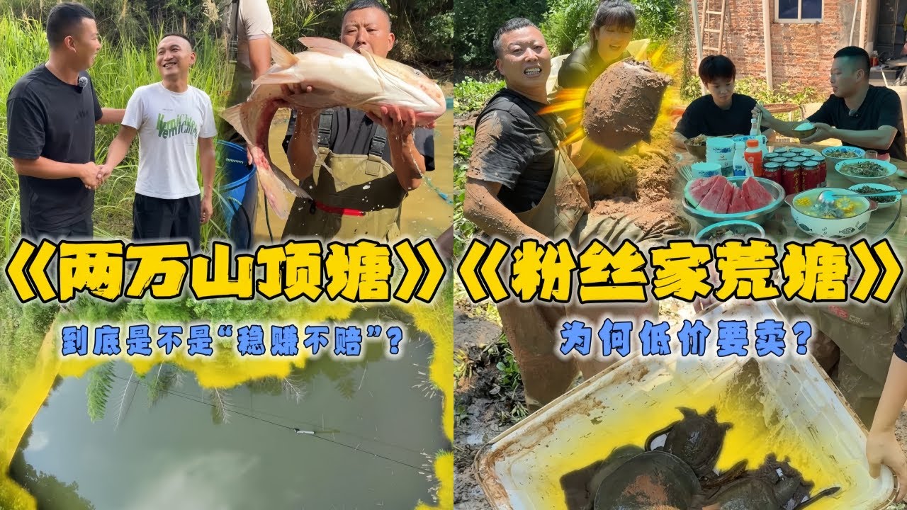 小飞哥花20000元包下粉丝家的山顶塘，到底是不是稳赚不赔？｜花1000元包下粉丝朋友家的荒塘，看看里面会有什么货？｜#户外抓鱼 #户外捕鱼 #小飞哥抓鱼 #乡村生活 #农村生活