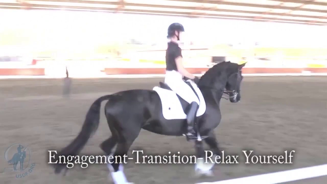 Trot-Halt-Trot