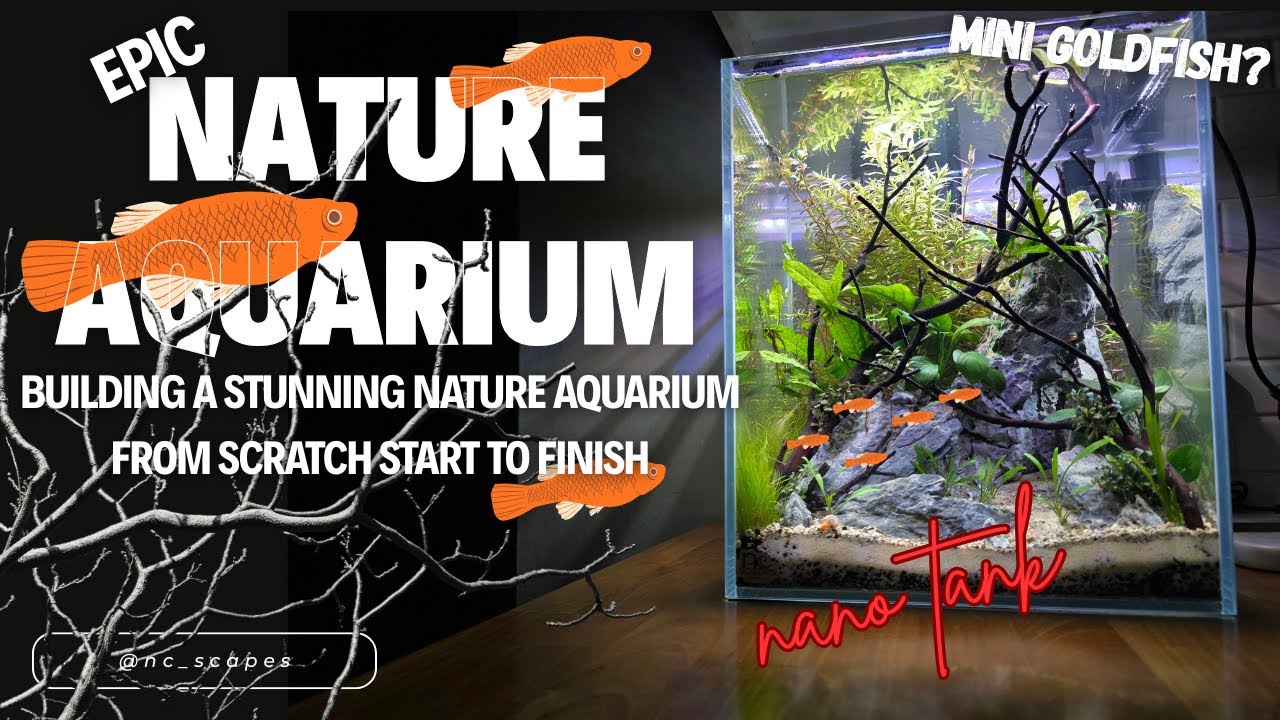 Epic Nature Aquarium Build Low-Tech Aquascape Start to Finish + Mini Goldfish? #aquascaping