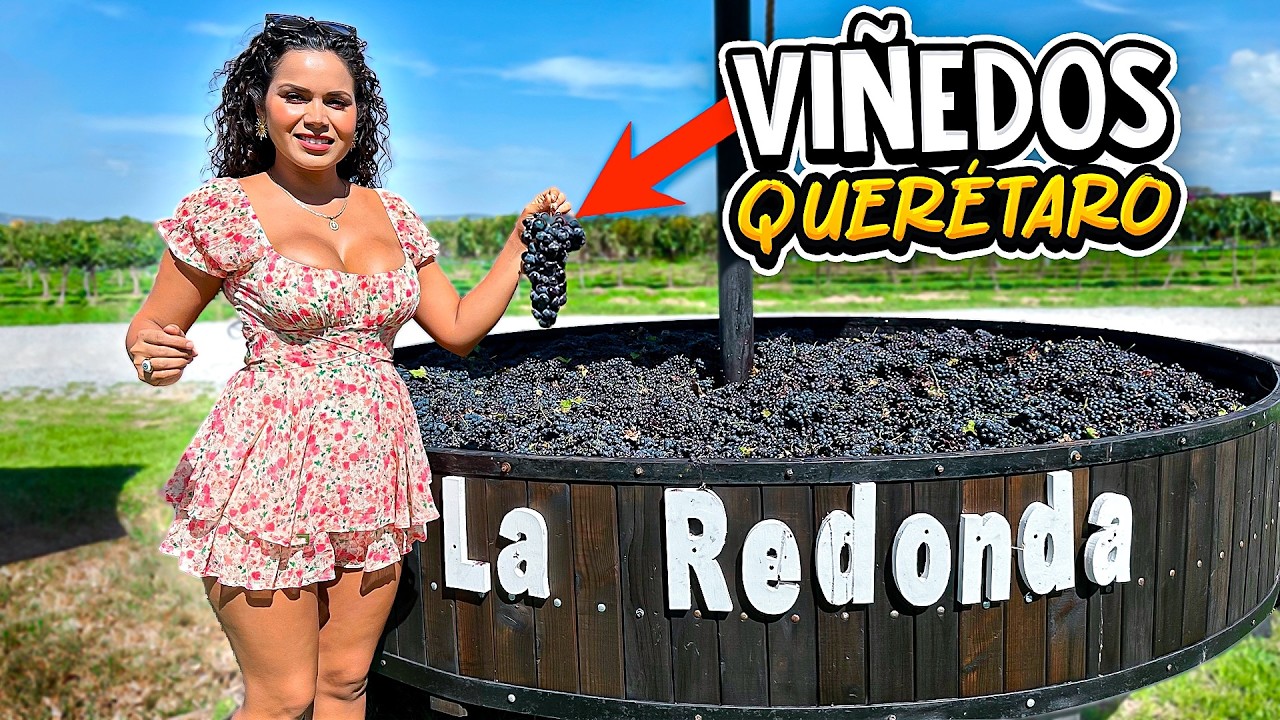 Ruta del Vino en Querétaro | Conociendo un viñedo 🍇 vendimia la redonda