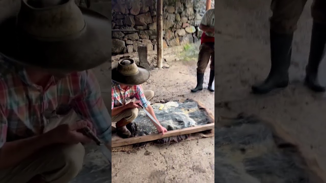 Curtido de cuero para hacer un buen pelego.