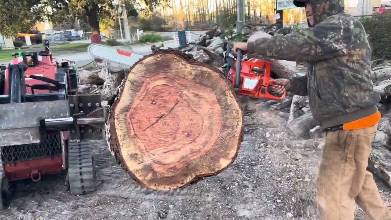 HUSQVARNA 372 XP W/ NEW 32 IN BAR CUTTING WET PECAN THICK LOG IN SECONDS ! MY NEW FAVORITE CHAINSAW