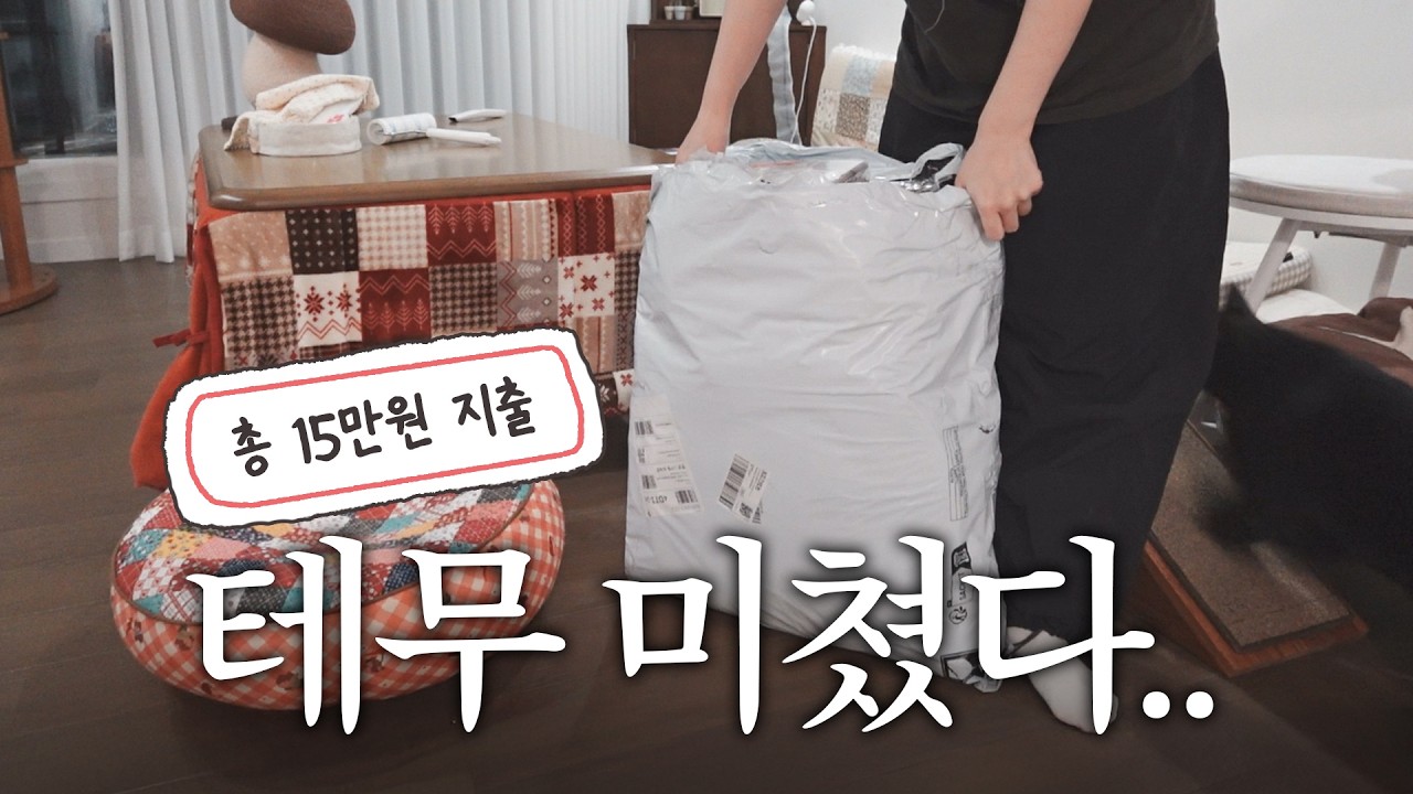 절대 실패없는 테무 고양이 추천템 14가지