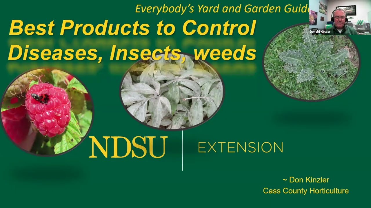 Best Products to Control Diseases, Insects, and Weeds - Everybody's Yard and Garden Guide Series