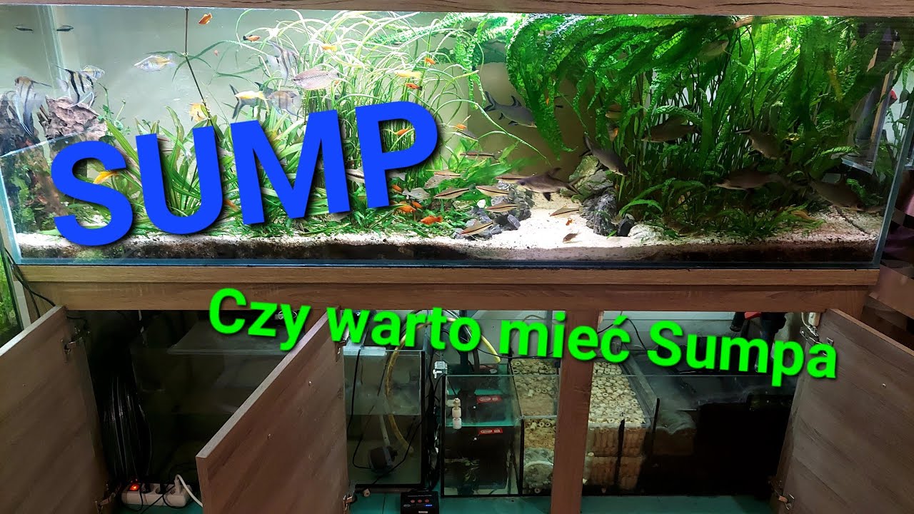 SUMP. Czy warto mieć Sumpa. Filtracja najważniejsza. Cz.1. Budowa i działanie.