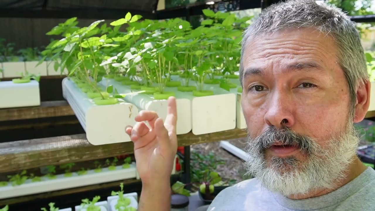Why Are We Making Money Online in 2022 on Hydroponics Channel