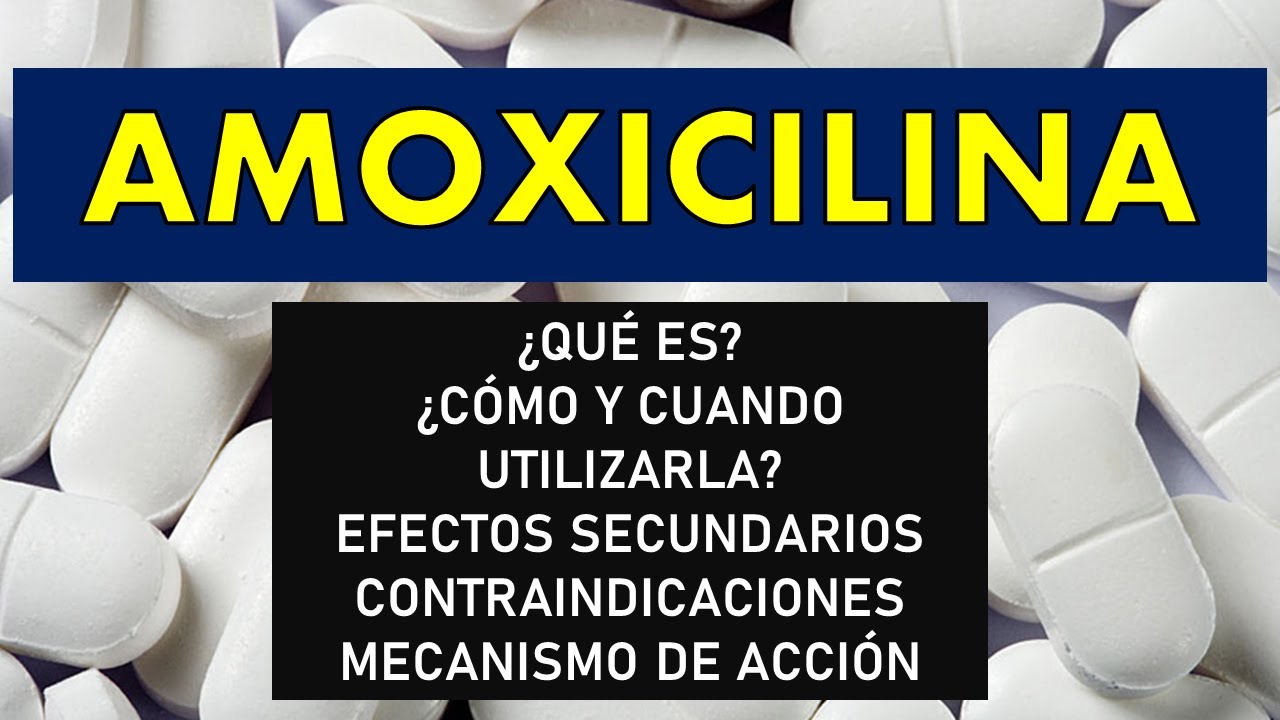 🔴 AMOXICILINA | PARA QUÉ SIRVE, EFECTOS SECUNDARIOS, CONTRAINDICACIONES, MECANISMO DE ACCIÓN