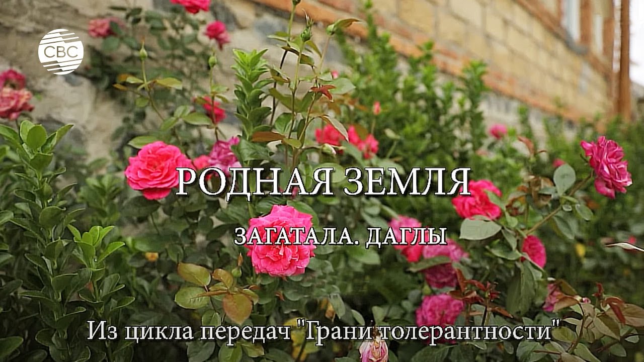 РОДНАЯ ЗЕМЛЯ. ЗАГАТАЛА. ДАГЛЫ. Из цикла передач 