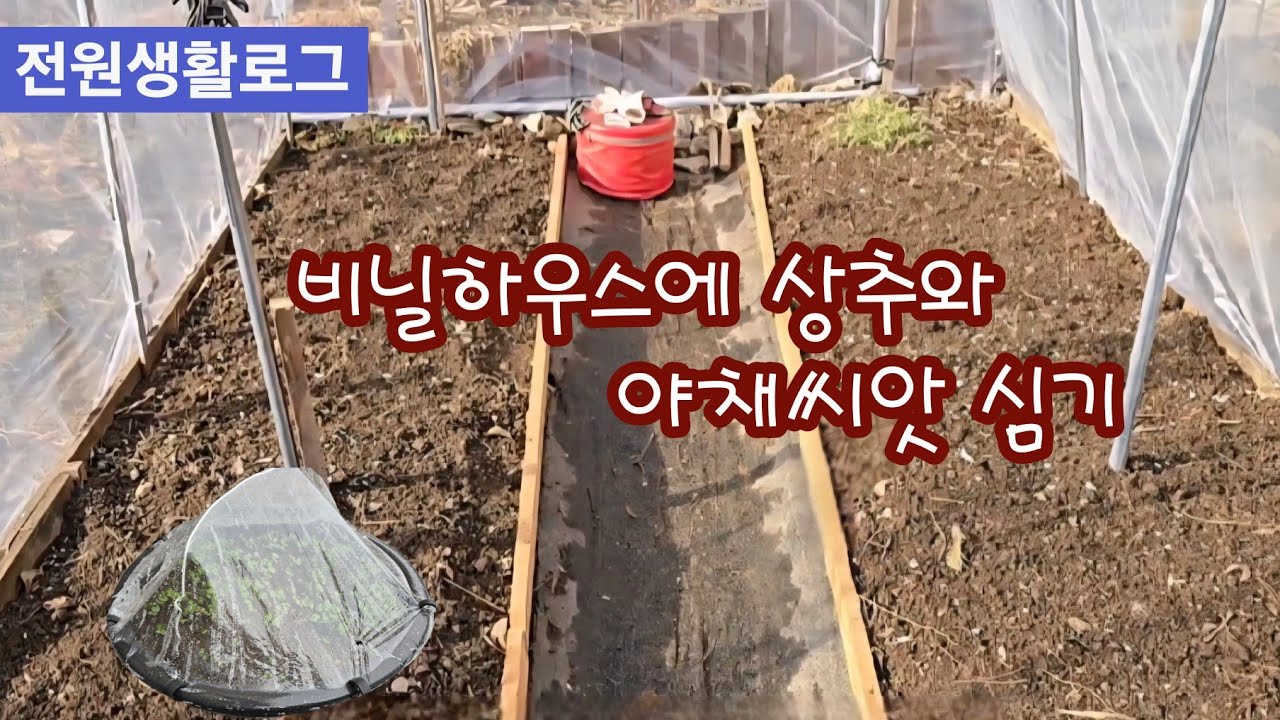 전원생활로그 봄을 앞당겨요 하우스짓고 상추와 야채씨앗 심어요