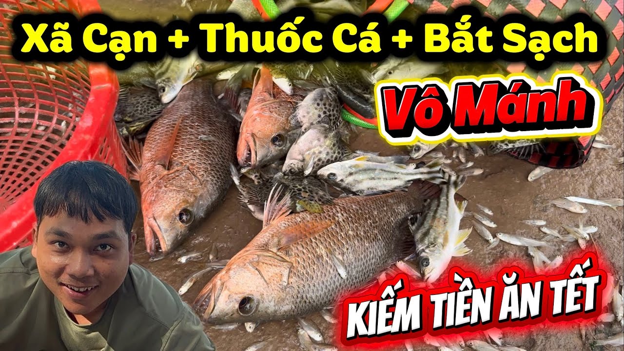 Xã Cạn Đập Nước Mặn Bắt Sạch Cá Để Kiếm Tiền Ăn Tết P1 : Cá Ra Nhiều Quá Đổ Không Kịp