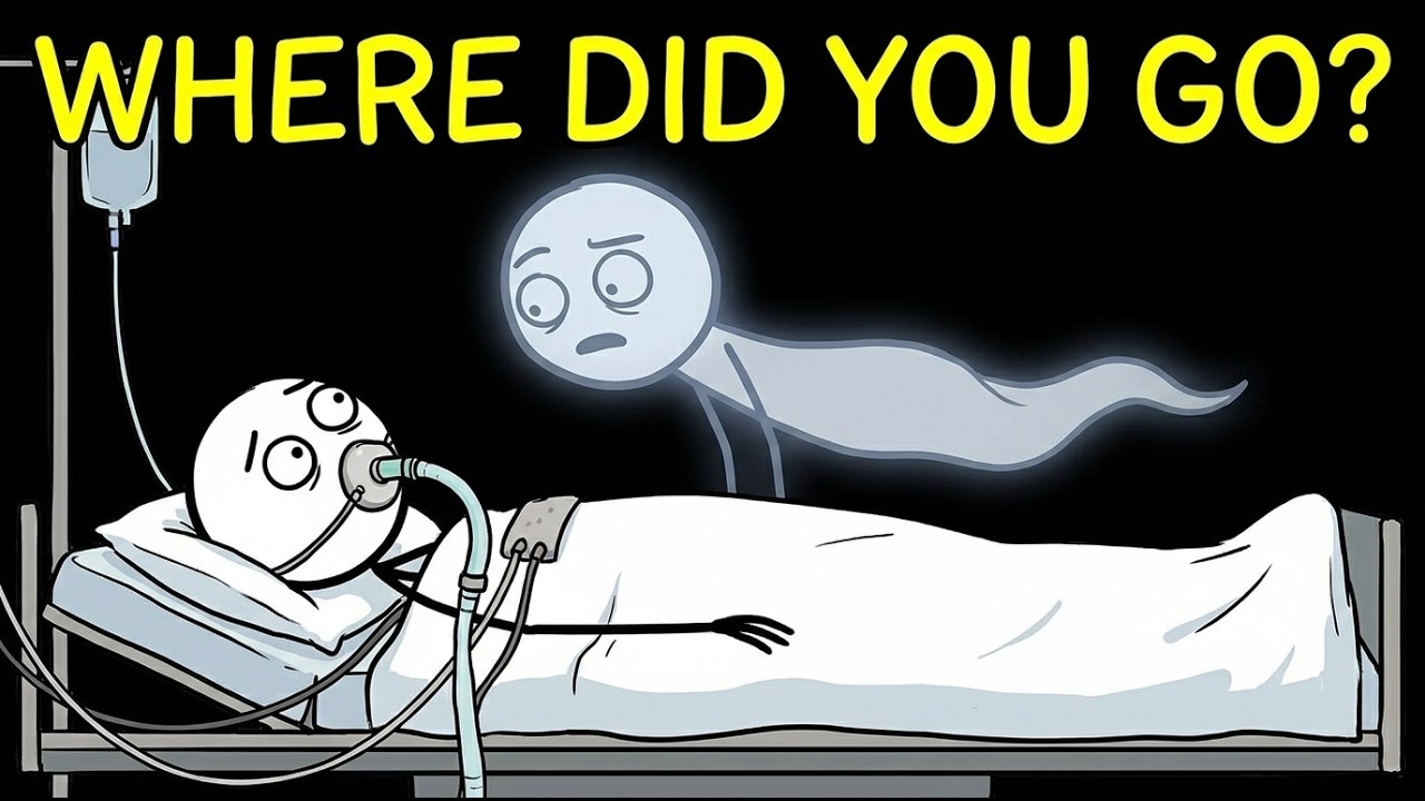 Where Do You Go Under Anesthesia? 