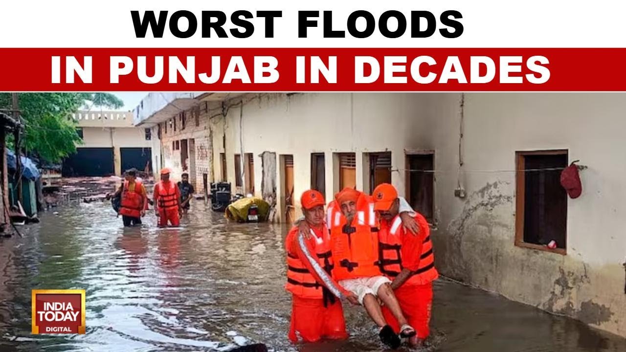 Punjab Drowns: 37 Dead, 3.5 Lakh Hit as North India Reels Under Flood Fury | India Today