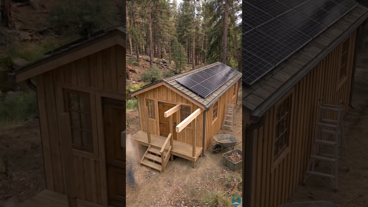 Restoring a Broken Pine Forest Shelter into a Rustic Survival Cabin