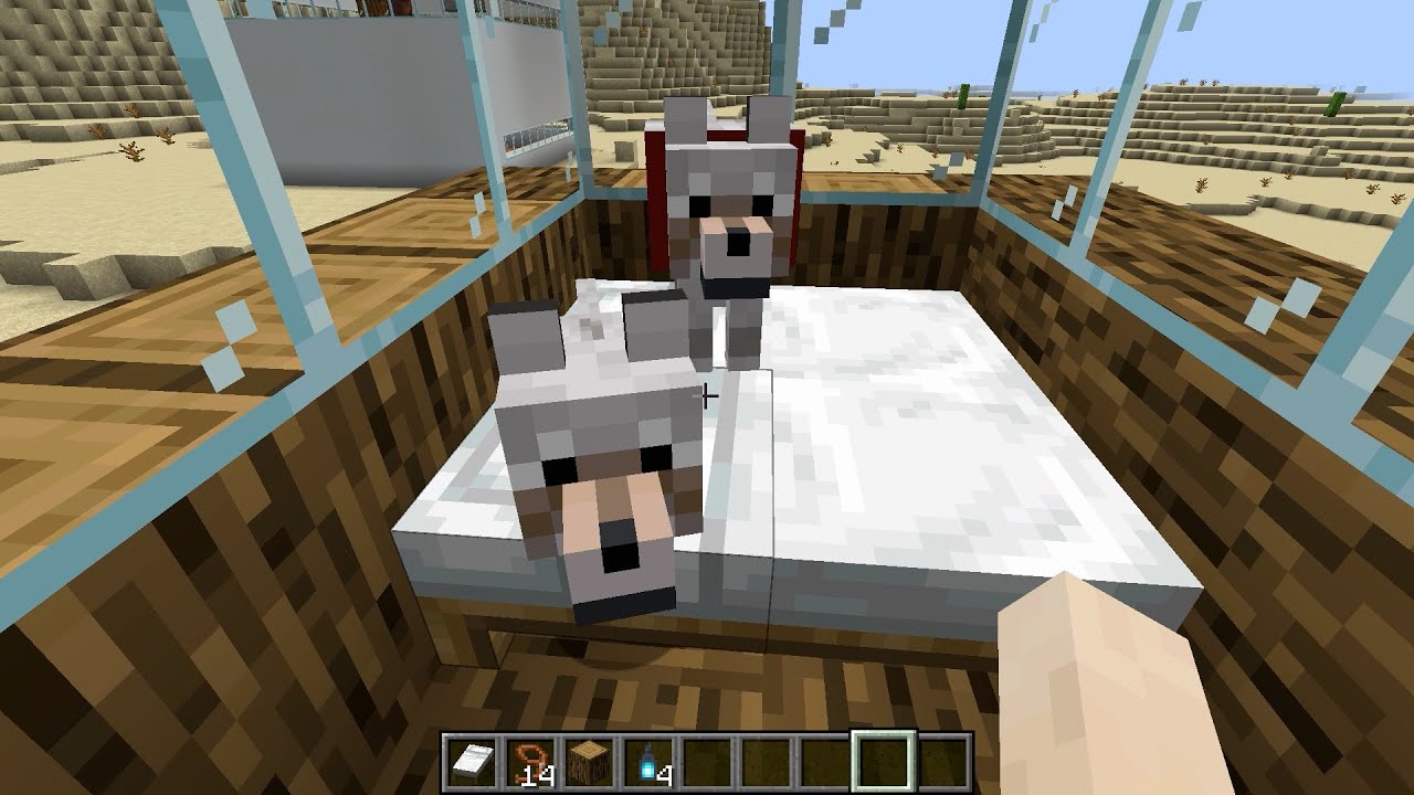 CONSTRUYO una CASA DE CRISTAL para MIS PERROS en MINECRAFT (Parte 2)