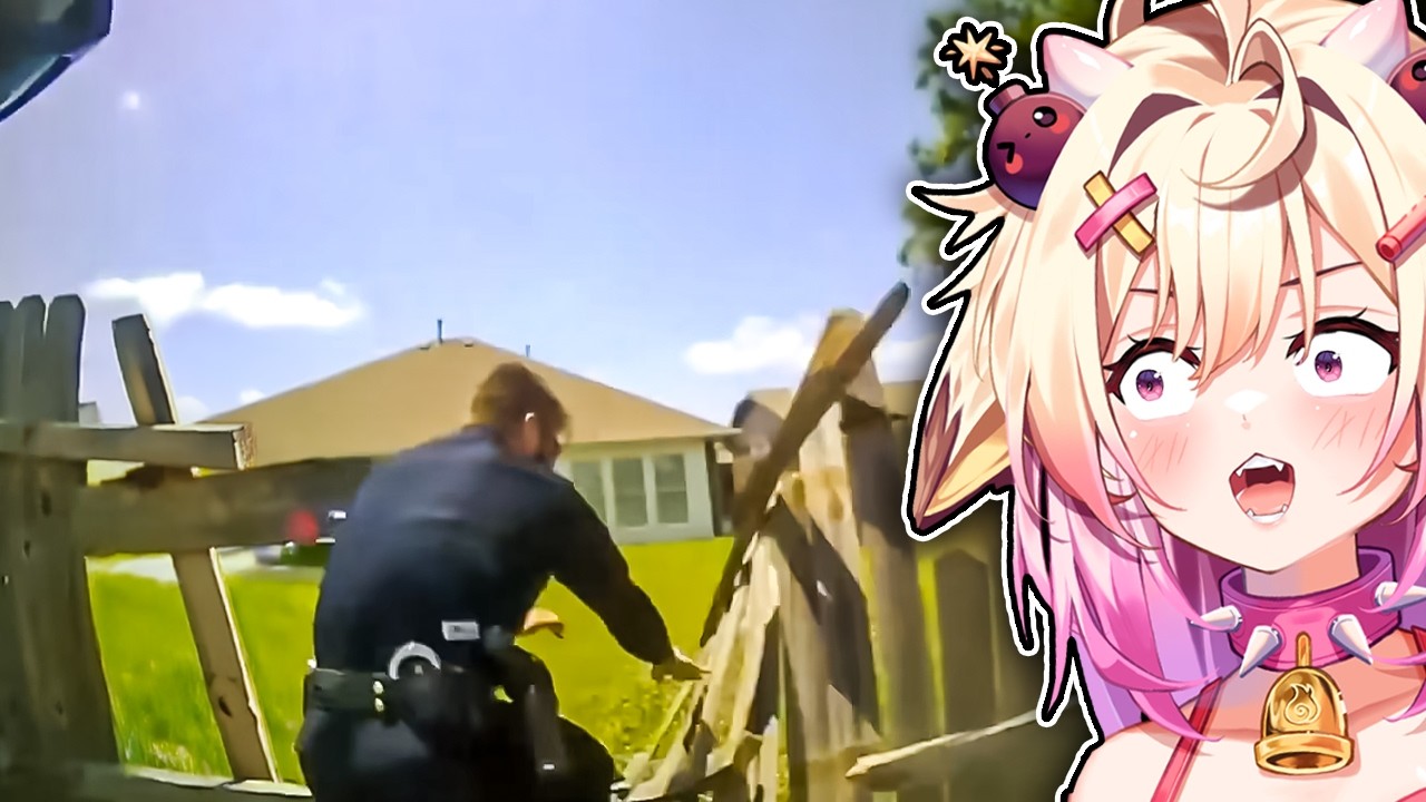 Craziest Police Videos On the Internet | Rosiebellmoo Reacts To Daily Dose