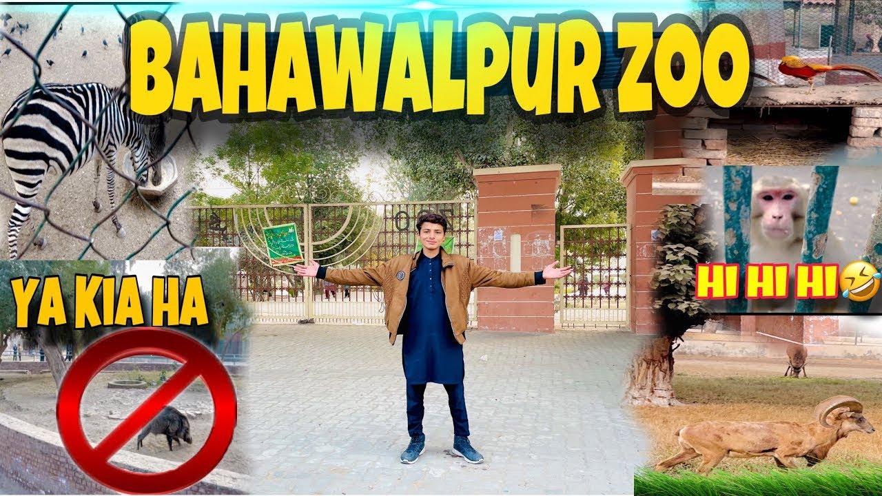 Visit to Bahawalpur zoo  😊 bohot Maza aya 😂