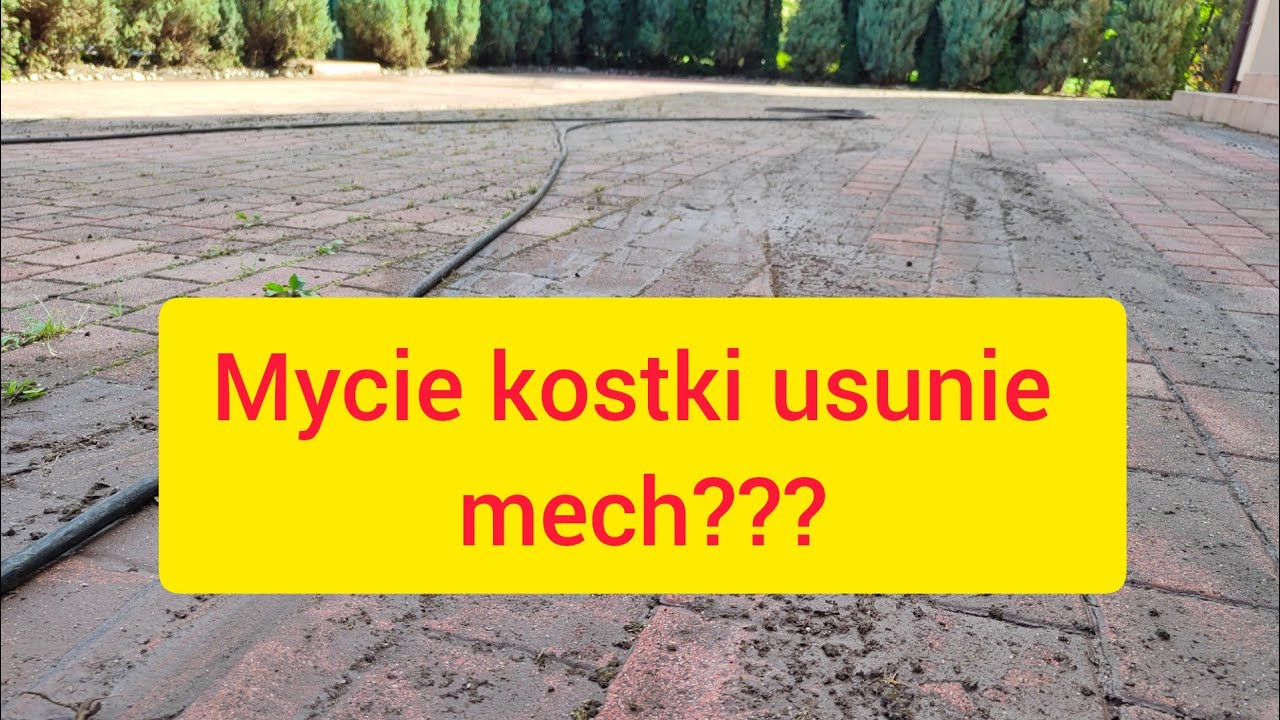 Czy mycie kostki usunie mech i chwasty?