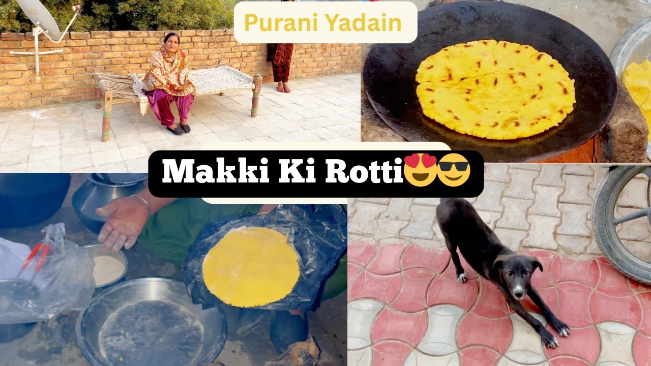 Golden Chapatti(Rotti) First Time Try 😋😋| Sone Ki Rotti 🍪 | Old Videos 😎😎