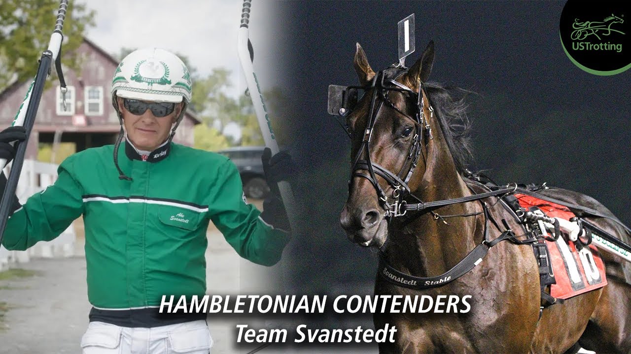 Hambletonian Contenders (Svanstedt) | UsTrotting 