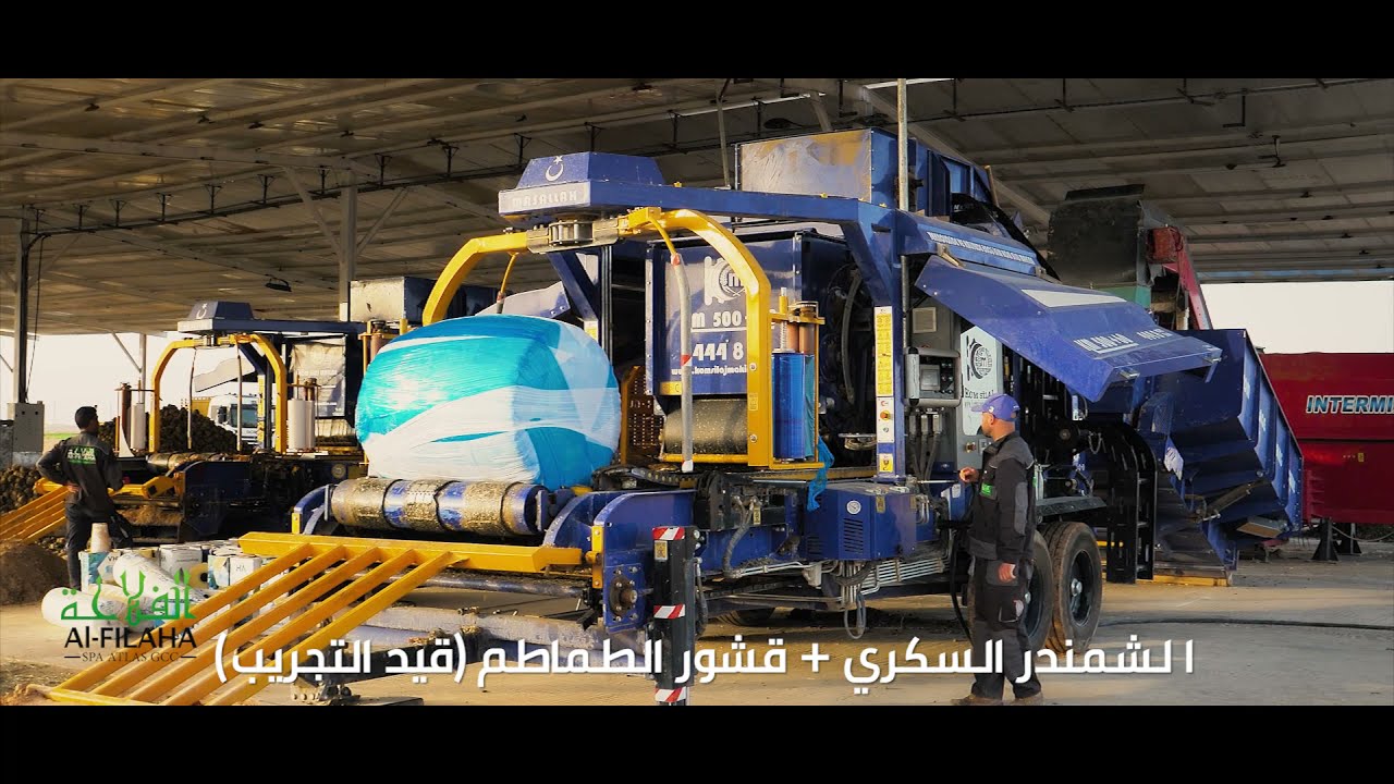 EPIC Cinematic Video 2021 | How To Produce Sugar Beet Silage | ATLAS FARM, ALGERIA