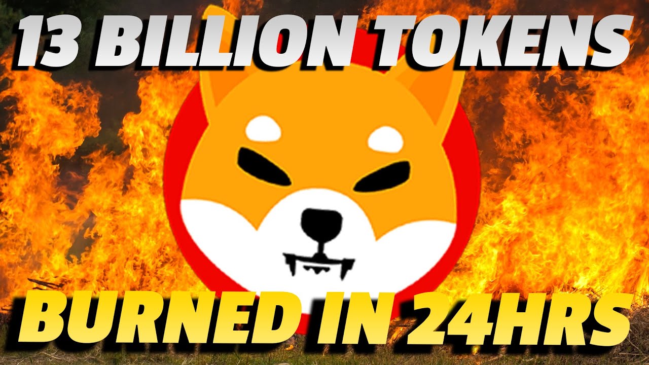 Let the BURN begin! | Shiba Burn Analysis