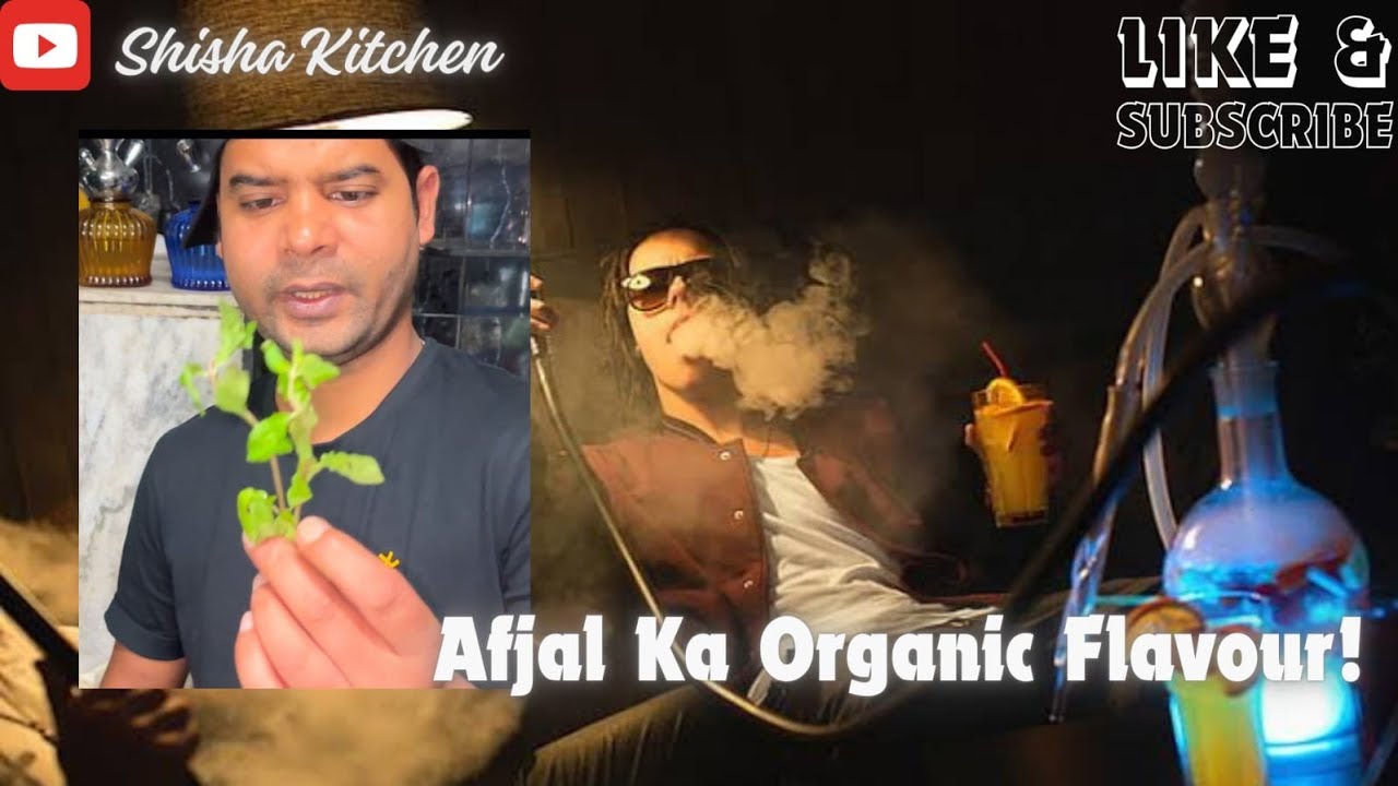 AFZAL KA THANDA NA GARAM FLAVOUR. AFZAL BEST FLAVOURS REVIEW ✍️✍️|HOOKAH BOY DEVRAJ|SHISHA KITCHEN|