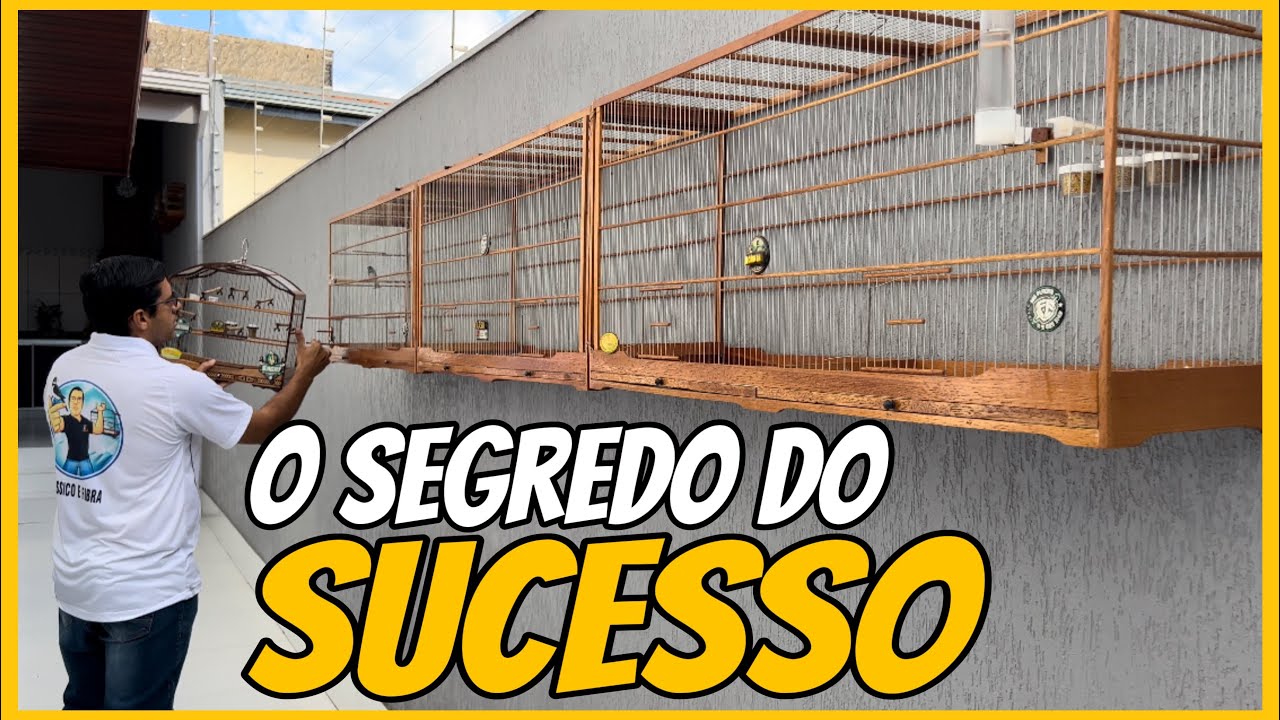 MANEJO PÓS MUDA DE PENAS
